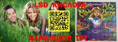 mdma Камышлов
