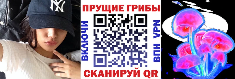 Псилоцибиновые грибы Psilocybine cubensis  даркнет сайт  Фролово 