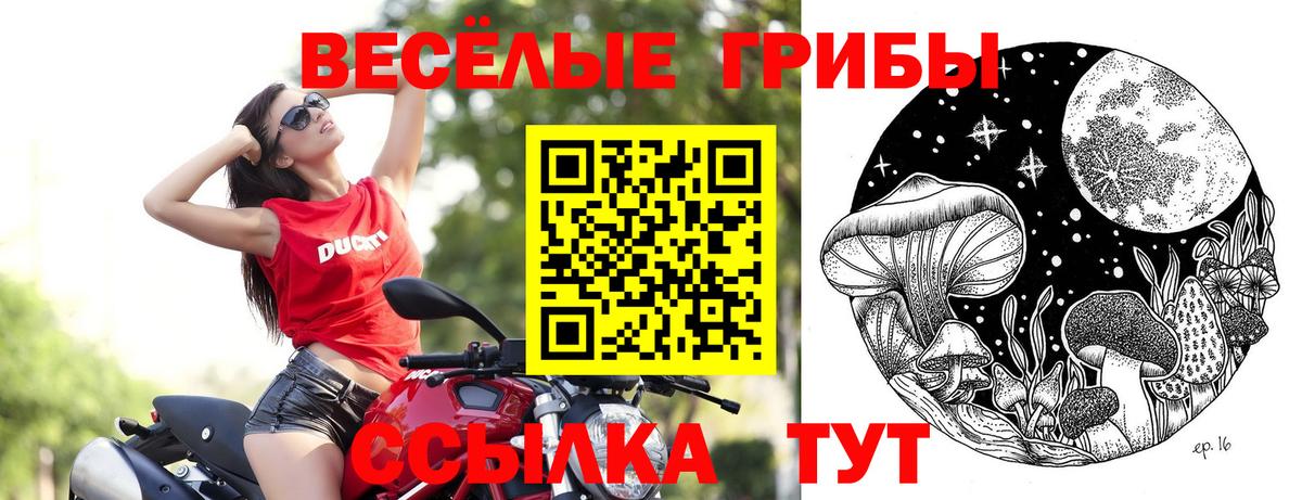 A PVP Фролово