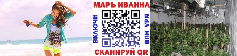 дарнет шоп  omg маркетплейс  Бошки Шишки тримм  Фролово 